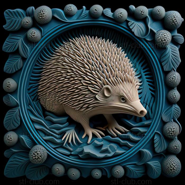 st hedgehog